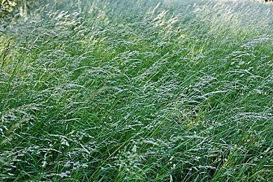 《最终幻想起源：天堂的陌生人》游戏舞台机械遗迹宣传片